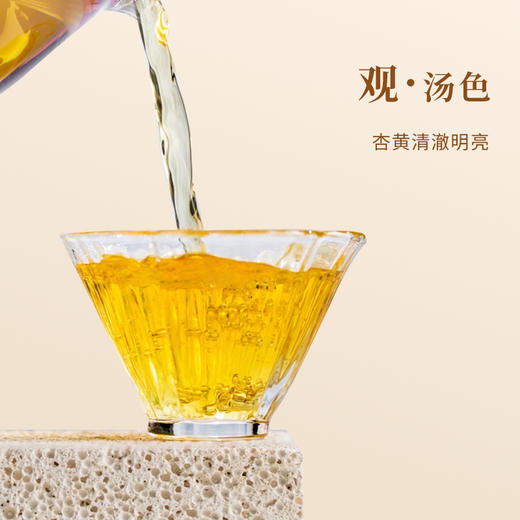 魏氏茶  魏氏陈·白牡丹(2006年份)  10g/盒 商品图3