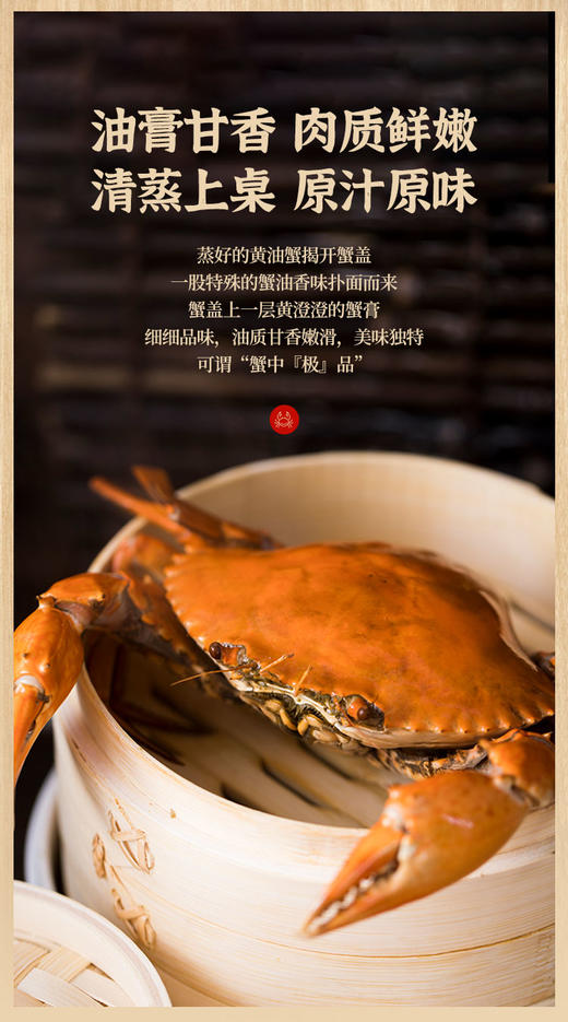有机  黄油蟹  （郑炳才 028） 商品图2