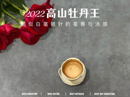 2022牡丹王，长在了银针的毫香和稠汤上，毫香清新而花香怡人（100克罐装） 商品图13