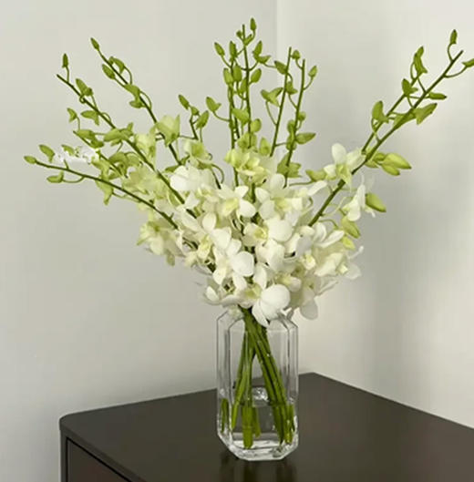 洋兰  白色  12支/扎 以实物为准 云南基地发货（价格已包含包装费用） 运费以实际为准，多退少补。 商品图2