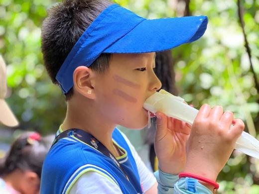 【国庆大象义工亲子营丨跟随亚洲象的步伐探索西双版纳】原始热带雨林亲子徒步｜走进中国面积最大的中科院植物园｜当一回「亚洲象志愿者」获得志愿者证书+公益时长｜走进古老村寨，探寻少数民族文化，制作非遗手工 商品图3