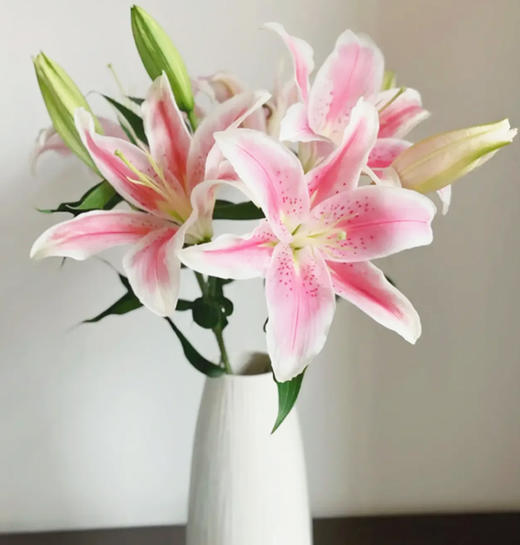 【索尔邦百合】 百合 10支/扎 以实物为准 云南基地发货（价格已包含包装费用） 运费以实际为准，多退少补。 商品图3