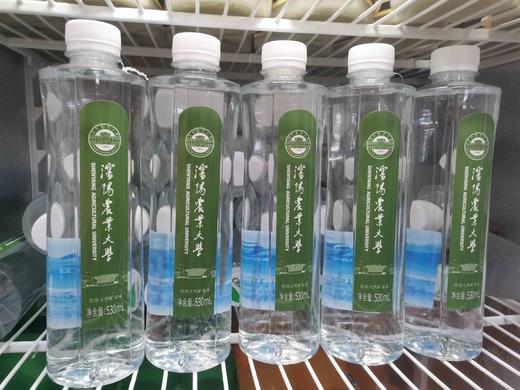 汤泉谷沈农定制矿泉水 商品图2