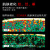 Key in 胶原蛋白紧塑弹润雪融霜 1罐装/2罐装 （36g/罐) 保湿滋润/抗皱紧致 商品缩略图4