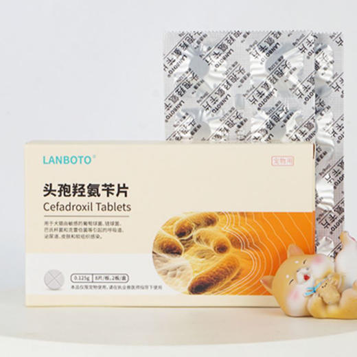 lanboto狗狗猫咪头孢消炎药皮肤炎症呼吸道泌尿道炎感冒咳嗽抗菌消炎通用 商品图4