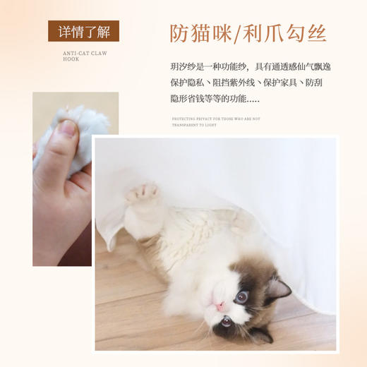 #玥汐纱#金蝉防猫抓轻奢纱帘 商品图2
