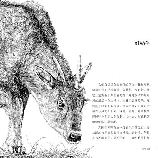 动物小说大王沈石溪·十大经典必读（全10册） 商品图9