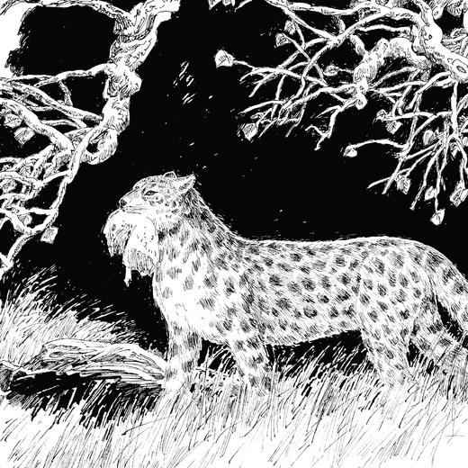 动物小说大王沈石溪·十大经典必读（全10册） 商品图6