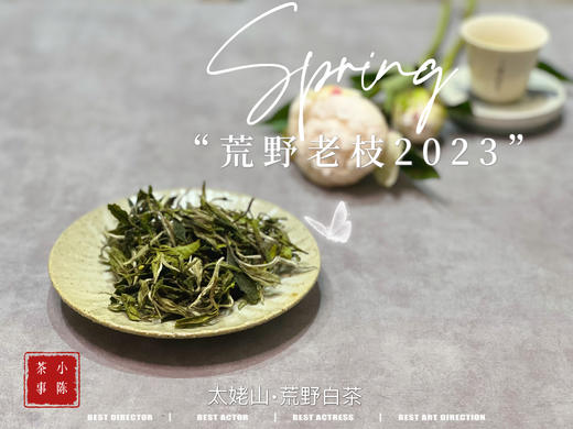 【2023春茶】2023荒野老枝，今年请称呼它荒野白牡丹，够荒，够苍老，荒野气韵厚重深长 商品图0