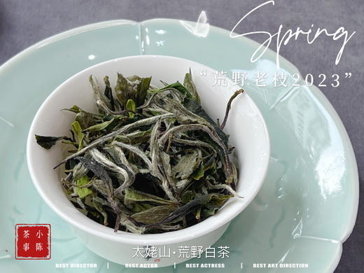 【2023春茶】2023荒野老枝，今年请称呼它荒野白牡丹，够荒，够苍老，荒野气韵厚重深长 商品图12