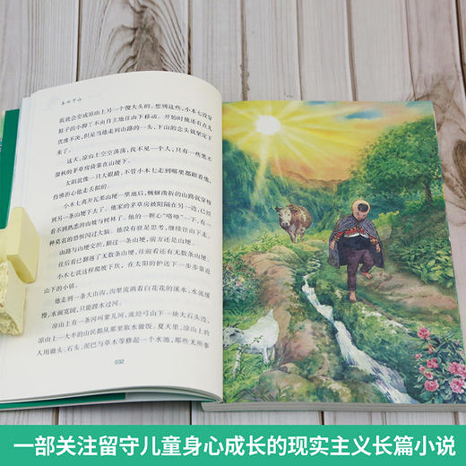 丛林的孩子   木七下山     四年级共读套装正版现货速发|名师推荐|小学生课外阅读4年级 商品图4
