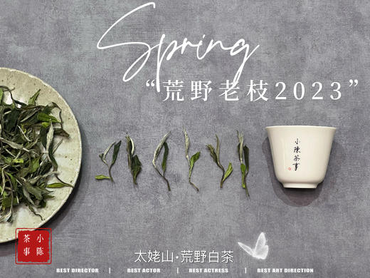 【2023春茶】2023荒野老枝，今年请称呼它荒野白牡丹，够荒，够苍老，荒野气韵厚重深长 商品图4