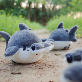 这个夏天带着鲨鱼宝出门游水！🌊