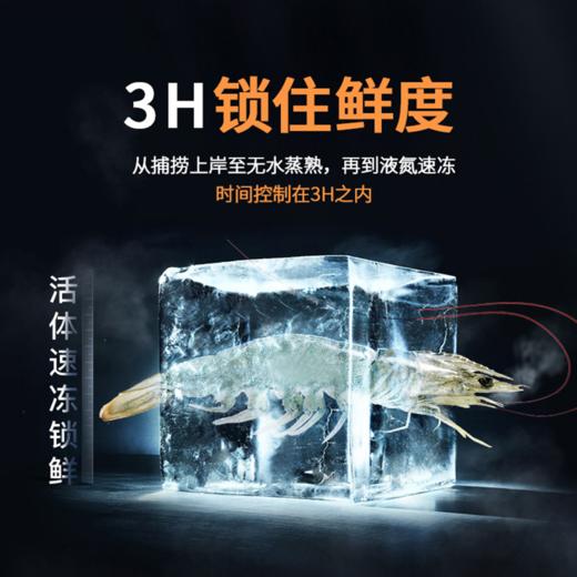 有机无抗生态虾400g*3盒 商品图5