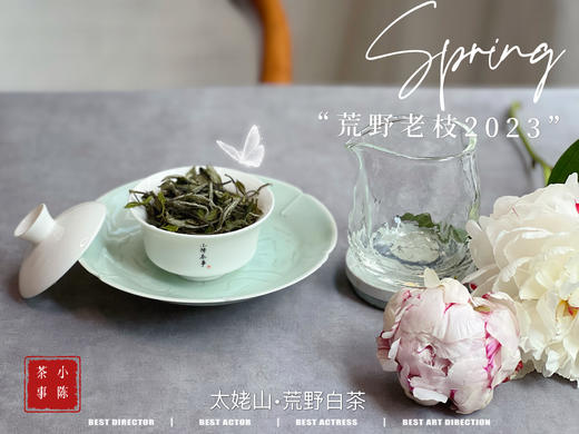 【2023春茶】2023荒野老枝，今年请称呼它荒野白牡丹，够荒，够苍老，荒野气韵厚重深长 商品图10