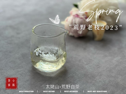 【2023春茶】2023荒野老枝，今年请称呼它荒野白牡丹，够荒，够苍老，荒野气韵厚重深长 商品图13