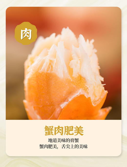 有机  黄油蟹  （郑炳才 028） 商品图4