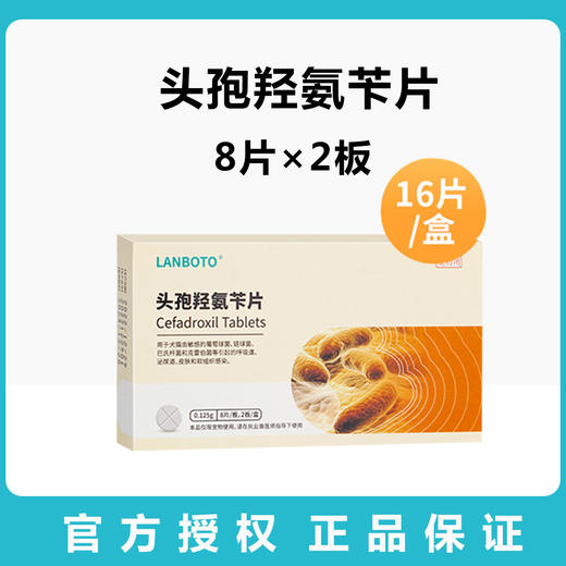 lanboto狗狗猫咪头孢消炎药皮肤炎症呼吸道泌尿道炎感冒咳嗽抗菌消炎通用 商品图3