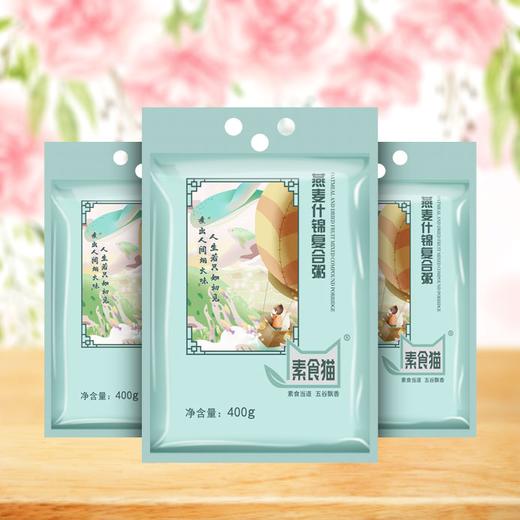 素食猫燕麦什锦粥400g/袋 商品图1