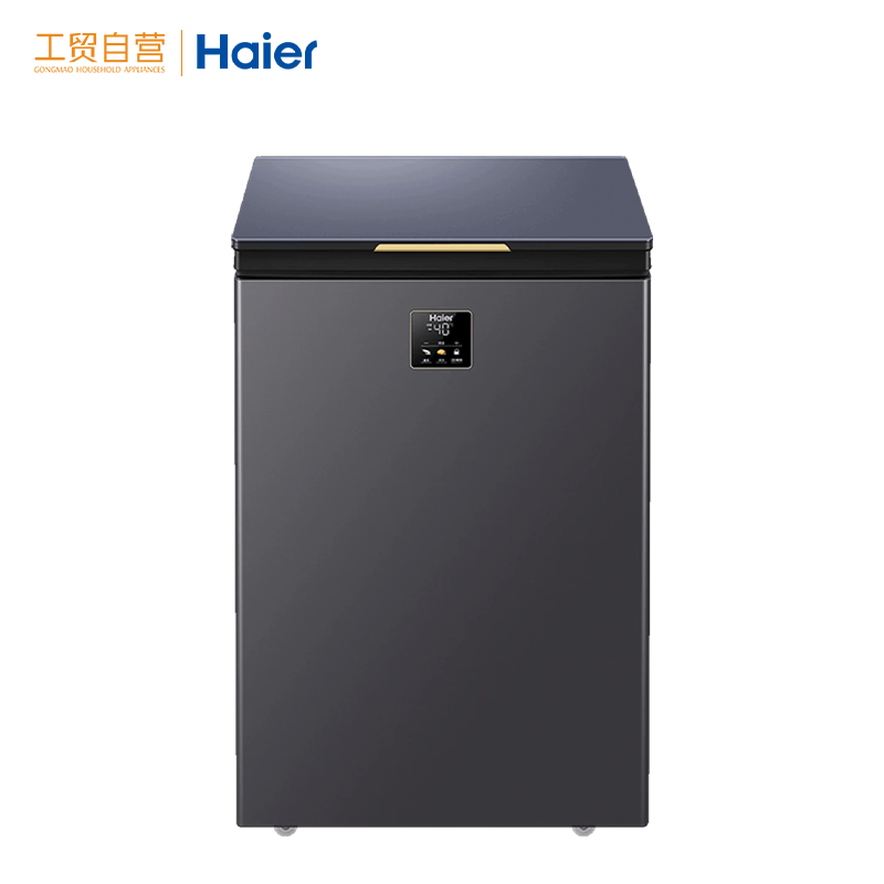 海尔（Haier）冰柜家用 -40度顶配版超低温小冰柜冷藏保鲜冷冻柜卧式风循环制冷减霜冷柜 BC/BD-100GHEPG