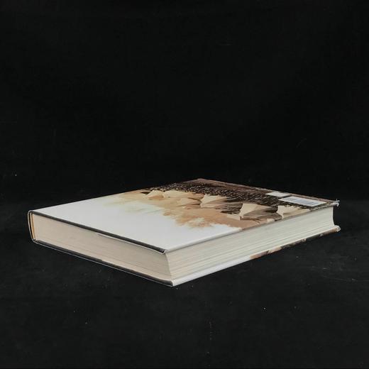 美国内战图史 500余幅插图 精装16开 商品图2