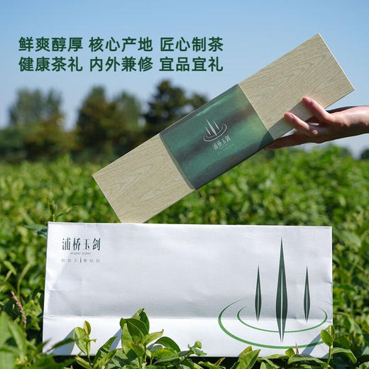 浦桥玉剑绿茶150g仿木盒装 商品图3