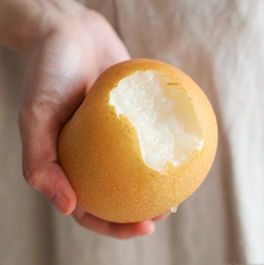 【脆甜多汁】山东秋月梨 细腻无渣超甜 商品图4