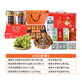 【严选】中秋1000元套餐B（内含8个单品）