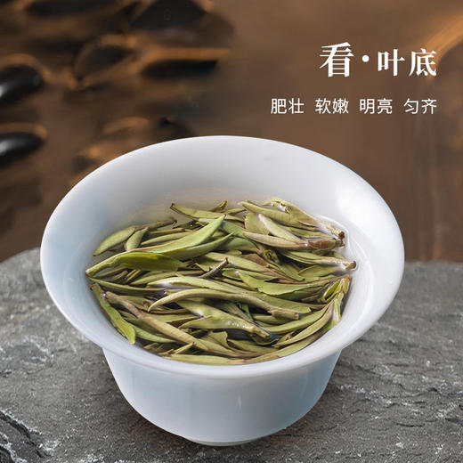 魏氏茶  魏氏陈·白毫银针(2010年份)  10g/盒 商品图4