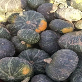 【1.5元2斤】板栗南瓜（1501648）