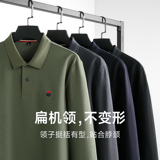 【一口价】【丝光棉100%】【新款DK】大依优型大码长袖Polo衫全棉翻领加肥加大肥佬休闲商务宽松透气上衣秋装 商品图3