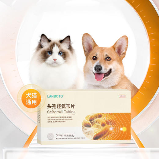 lanboto狗狗猫咪头孢消炎药皮肤炎症呼吸道泌尿道炎感冒咳嗽抗菌消炎通用 商品图6