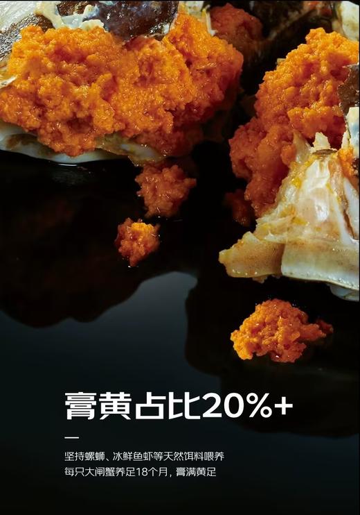 【中秋节】霸王蟹 湖鲜活蟹 精品洪泽湖大闸蟹 蟹卡 商品图3