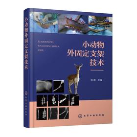 小动物外固定支架技术