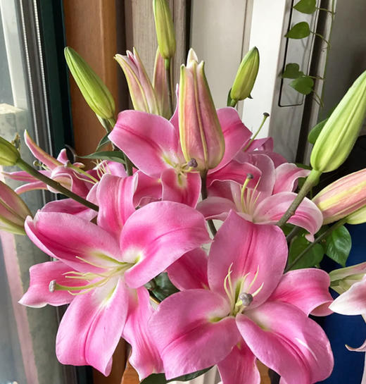 【罗宾百合】 百合 10支/扎 以实物为准 云南基地发货（价格已包含包装费用） 运费以实际为准，多退少补。 商品图1