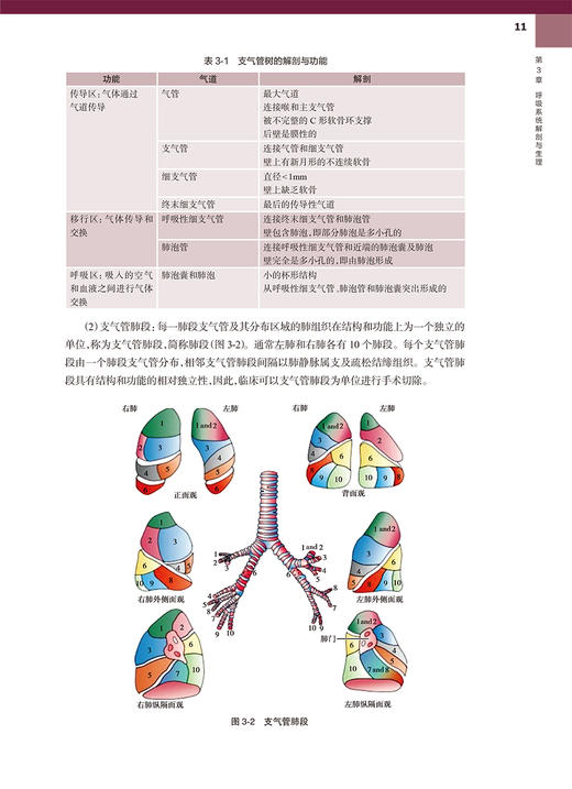 呼吸治疗教程 第2版 附视频 梁宗安 夏金根 呼吸治疗师职业技能标准临床诊疗规范 从业所需知识技能职业培训教程 人民卫生出版社 商品图4