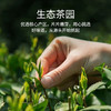 浦桥玉剑绿茶200g竹盒装 商品缩略图2
