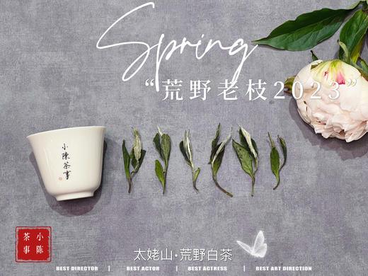 【2023春茶】2023荒野老枝，今年请称呼它荒野白牡丹，够荒，够苍老，荒野气韵厚重深长 商品图3