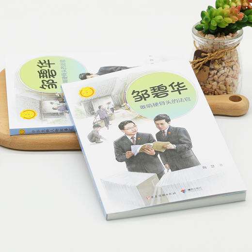 邹碧华:敢啃硬骨头的法官 商品图1