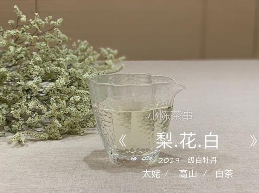 【收藏装】2019定制白牡丹《梨花白》，茶汤晶莹，莹白如玉，花香盈然，清雅出尘。 商品图1