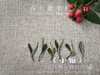 【抛荒白茶品鉴装】2021抛荒高级白牡丹《小雅》带着桂花香，汤水极鲜，极嫩，仿佛豆花初初出炉 商品缩略图3