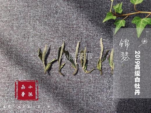 【收藏装】2019高级白牡丹《锦瑟》，秋深日长里，所能忆起的那一抹春光 商品图6