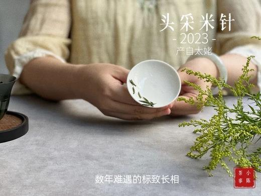【2023春茶来了】2023头采米针，春白茶“鲜度”的代表之作，极清新、极空灵、也极诱人！（1斤收藏装） 商品图4