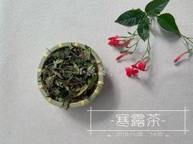【收藏装】2019寒露茶，汤水莹润，甘淳甜润，冷香里高雅又甜美的花香