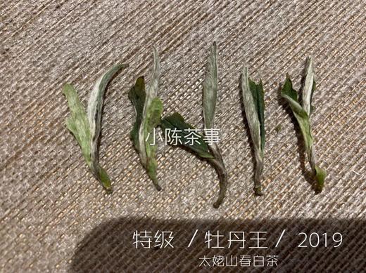 2019高山牡丹王（特级白牡丹）晨露，毫香野韵的高山白茶典范 商品图3
