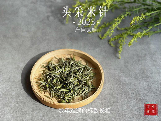 【2023春茶来了】2023头采米针，春白茶“鲜度”的代表之作，极清新、极空灵、也极诱人！（1斤收藏装） 商品图0