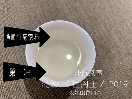 2019高山牡丹王（特级白牡丹）晨露，毫香野韵的高山白茶典范 商品图6