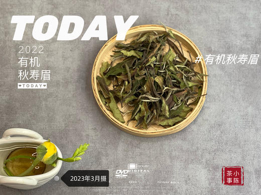 2022有机秋寿眉《初晞》来了，春白茶的清透与秋白茶的馥郁，尽占全了（60克罐装） 商品图1