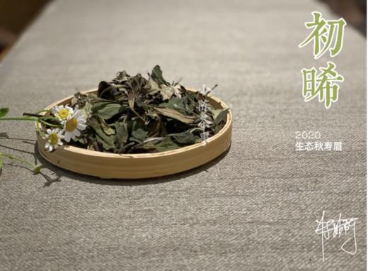 【60克罐装】2020有机秋寿眉《初晞》带来秋的沉韵，甜花香、野蘑菇香 商品图1