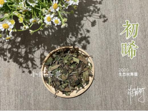 【60克罐装】2020有机秋寿眉《初晞》带来秋的沉韵，甜花香、野蘑菇香 商品图3